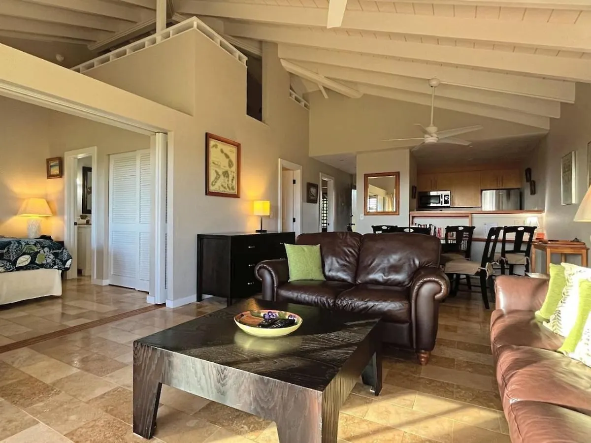 Molokai Breeze Dream Home 蒙内罗亚